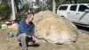 For 20 years, this school had no idea there was a dinosaur fossil right outside