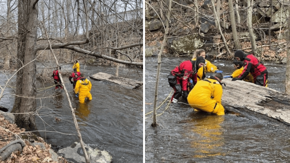 Body found in Norwalk River was woman reported missing from New York ...