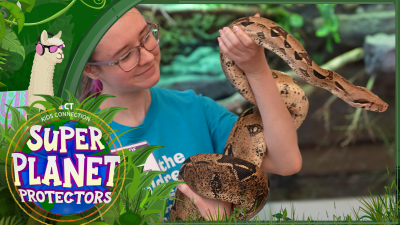 Kids Connection: Digital Exclusive – animal fun at The Children's Museum