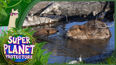 Kids Connection: Super Planet Protectors in the wild
