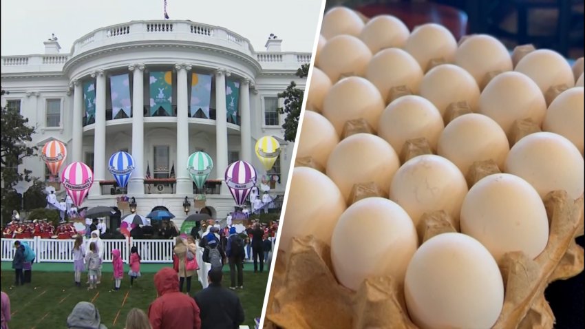 White House plans to use real eggs for Easter events