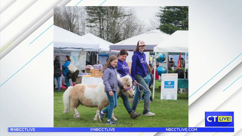 CT LIVE!: Woodbury Earth Day