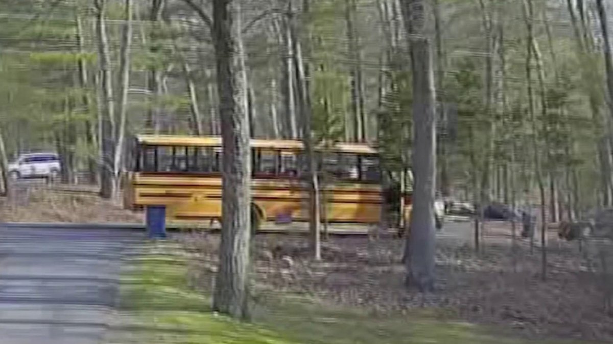 People in Granby comment on drivers passing stopped school buses – NBC ...