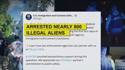 ‘She had no criminal records': Attorney for deported Cuban woman in Tampa speaks out
