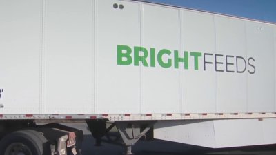 Bright Feeds addresses odor and noise concerns in Berlin