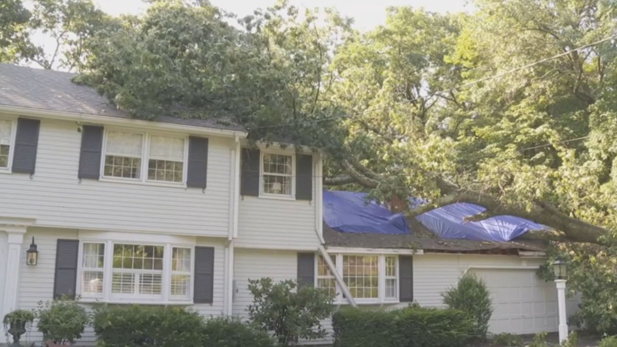 Changing Climate: Trends in CT home insurance costs
