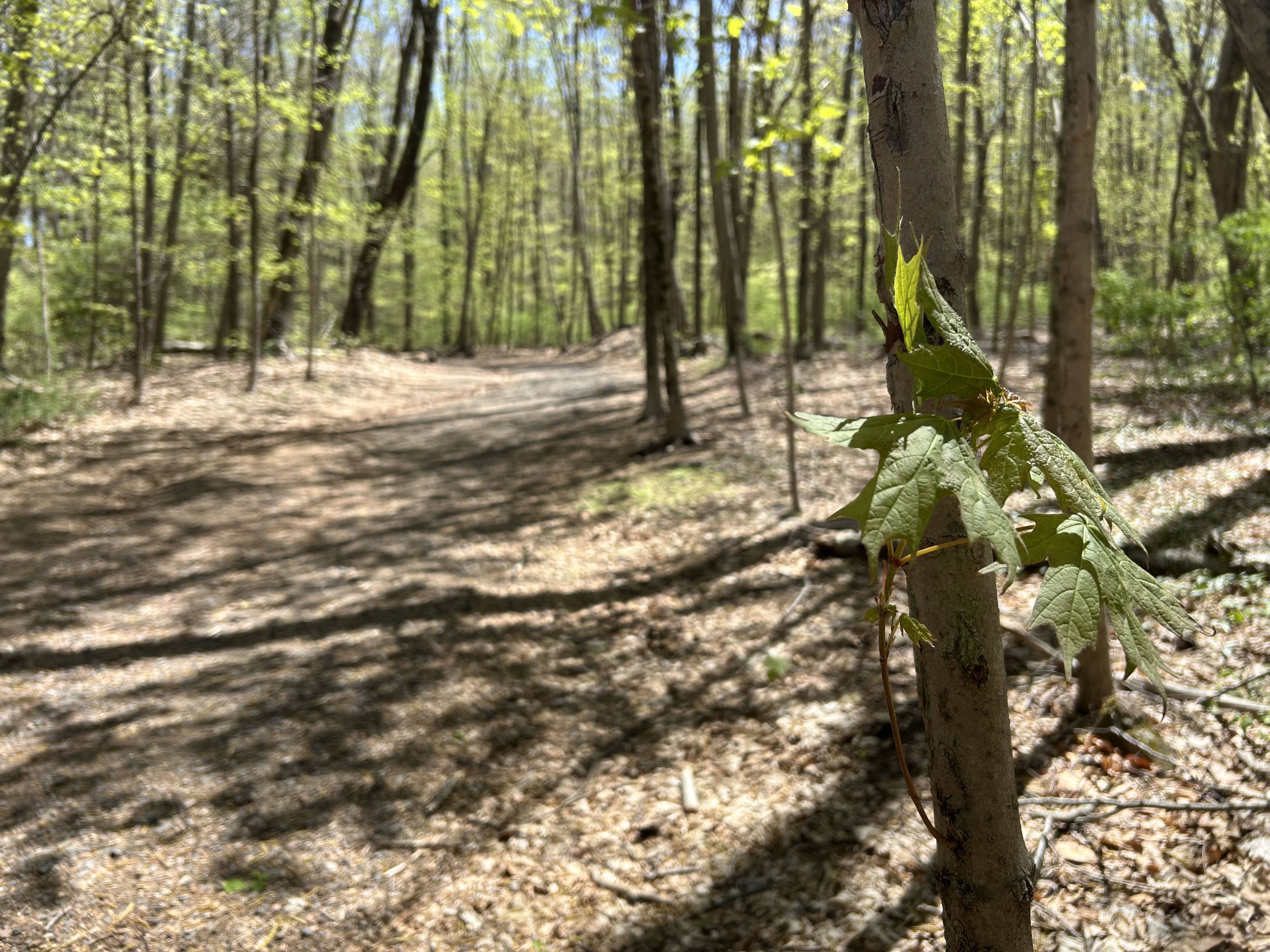 Ticks are back and experts want you to use caution when enjoying the outdoors