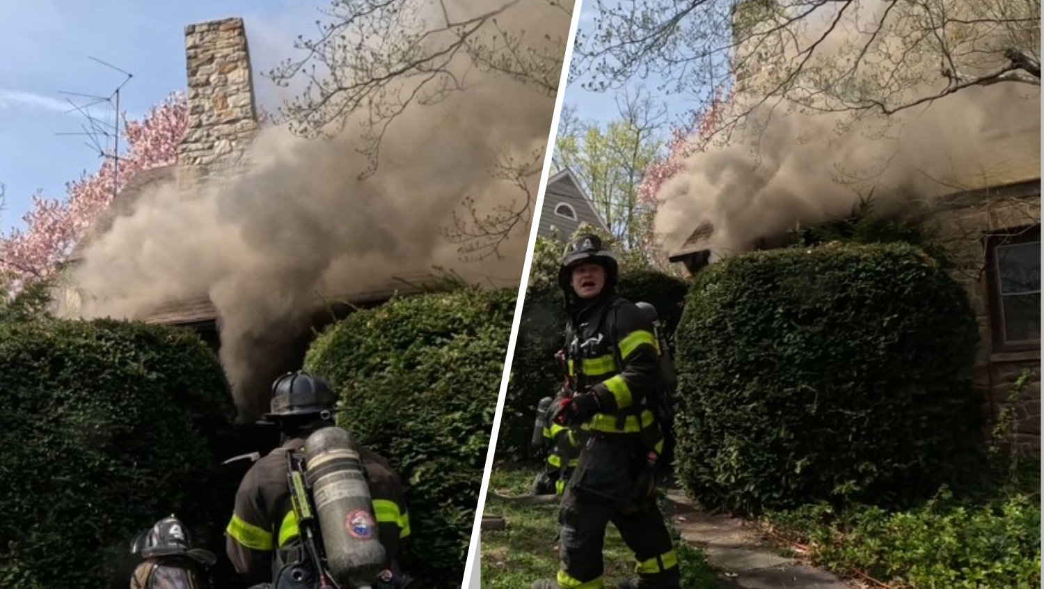 Several birds killed in house fire in Norwalk