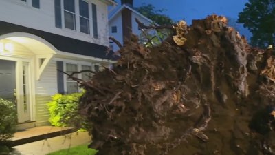 Saturday's storm takes down trees, cuts power to homes across Connecticut