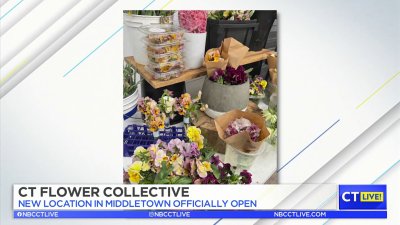CT LIVE!: Connecticut Grown Crops Now in Season