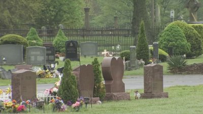 Police identify woman found dead in New Haven cemetery