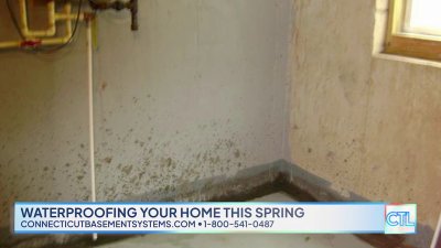 CT LIVE: Connecticut Basement Systems