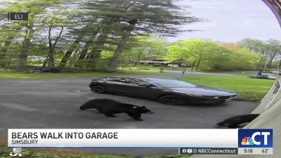 Video shows bears going into garage in Simsbury