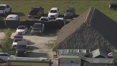 Report of machete fight led to SW Miami-Dade cockfighting ring bust, 42 arrests
