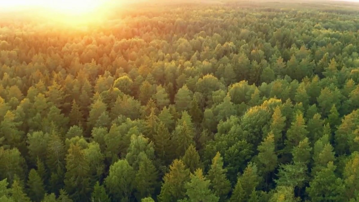 New report finds programs helping Connecticut's environmental quality