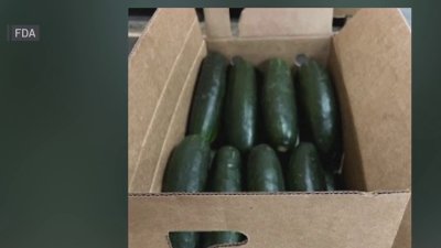 Big Y recalls made-to-order subs, wraps, paninis sold in Conn. and Mass. due to salmonella risk