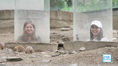 CT LIVE: CT Season Pass – Connecticut's Beardsley Zoo