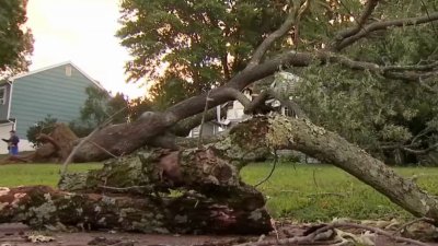 New England hurricanes are rare, but they are possible