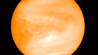 The planet Venus