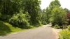 State police killed bear that entered home in North Canaan