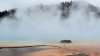 Yellowstone bison dies after stumbling into near-boiling waters of popular hot spring