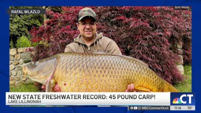 Fish caught at Lake Lillinonah sets new state record