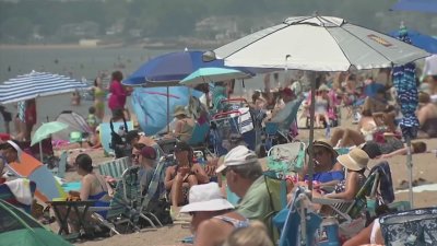 People ditch work and head for the beach as temps soar