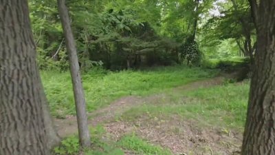 Hikers get outside to enjoy ‘Trails Day' across Connecticut, with more hikes still to go