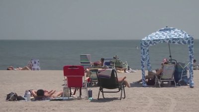 Several Connecticut beaches closed due to elevated bacteria levels