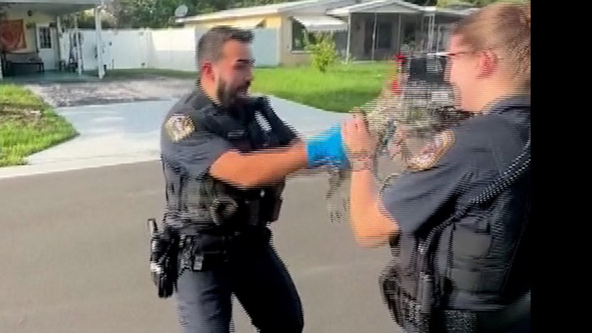 Police officer holds a gator