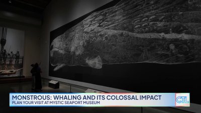 CT LIVE: Mystic Seaport Museum's “Monstrous” Exhibit