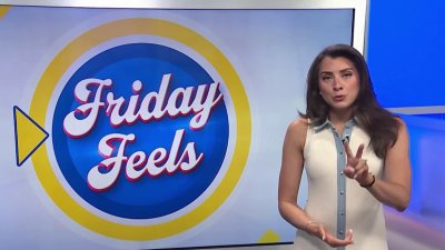 Friday Feels: A high school project 10 years in the making