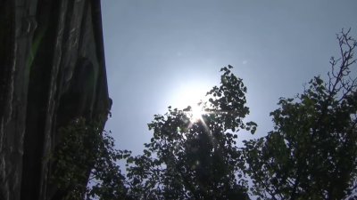 Plenty of ways to stay safe as dangerous heat moves in