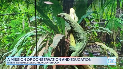 CT LIVE: Riverside Reptiles Education Center