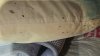 ‘Disturbing': 100K bed bugs believed to be in Mass. condo as infestation spreads