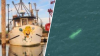 Fishing boat last seen off Cape Cod found sunk