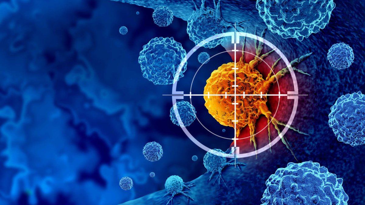 Healthy Returns: Researchers move closer to a universal cancer vaccine ...
