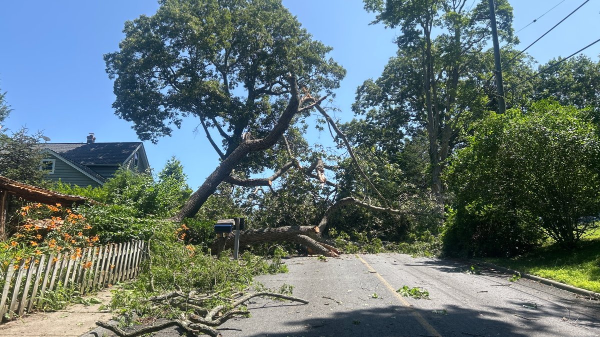 Cleanup underway in Essex after impactful storm – NBC Connecticut