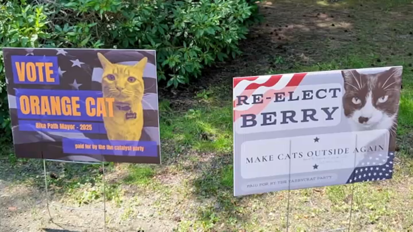 Mayoral campaign signs for Orange Cat and the incumbent, Berry, along the Somerville Community Path on Thursday, July 3, 2025.