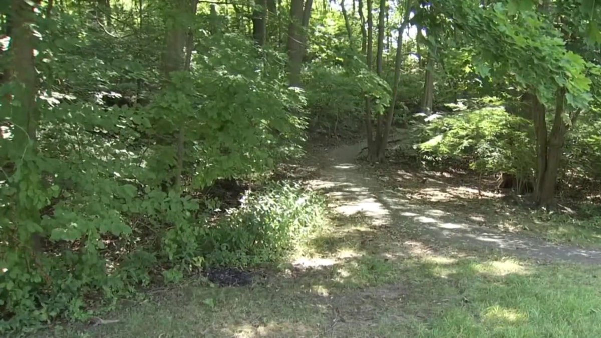 Police continue the search for sex assault suspect in New Haven – NBC ...