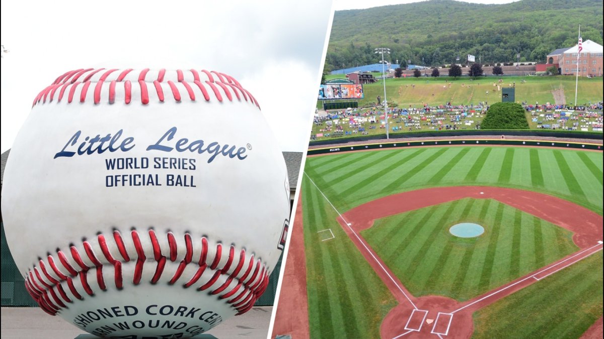 Douzaine De Balles De Baseball LLWS 2020 COVID - Neuves En Boîte Dick's