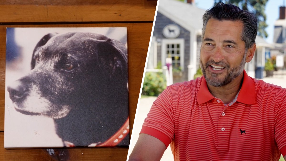How a rescue dog inspired The Black Dog tavern and lifestyle brand