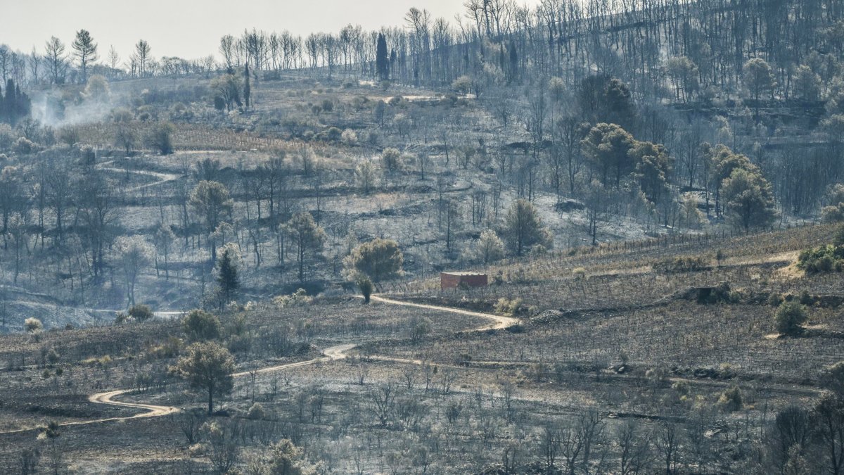 France's biggest wildfire of summer has eclipsed size of Paris, still spreading