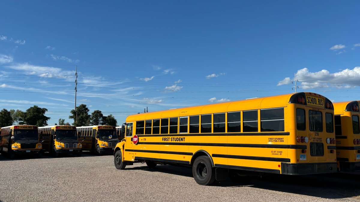 New Haven moves forward with school bus cameras to catch illegal ...