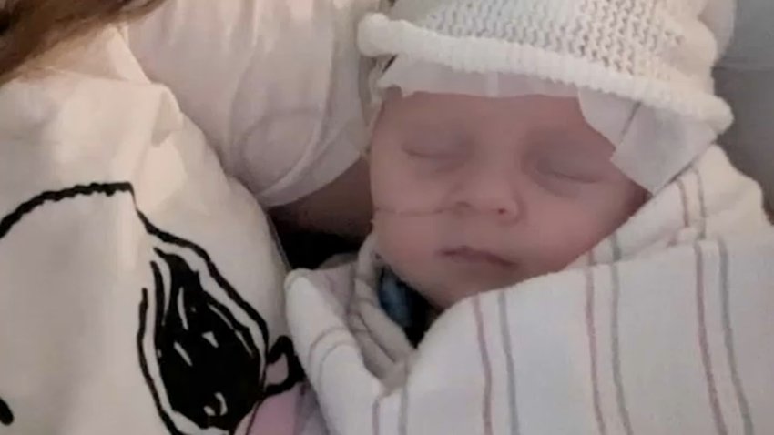 Lily Belle Sisco