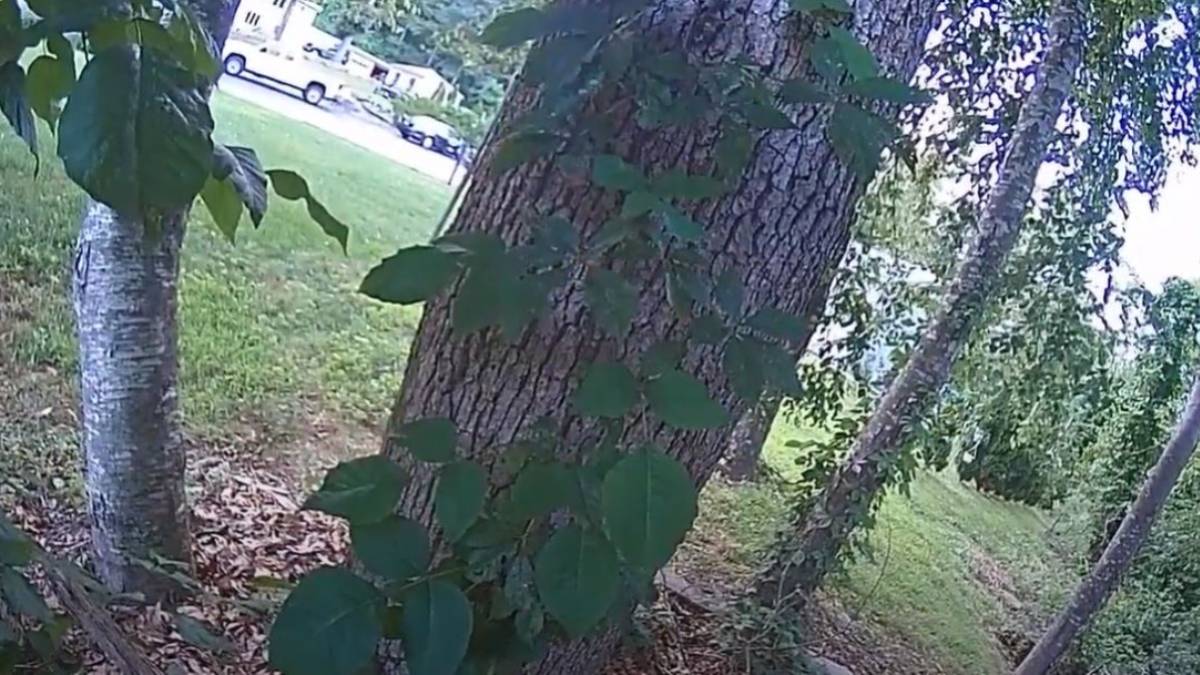 Office of Inspector General investigating police shooting that killed ...