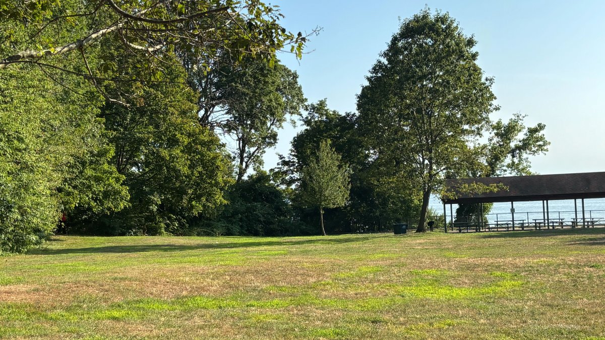 DNA evidence links suspect to sexual assault in New Haven park
