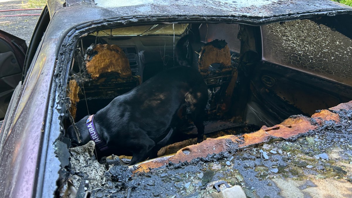 CT State Police have used K-9s to detect arson for nearly 40 years