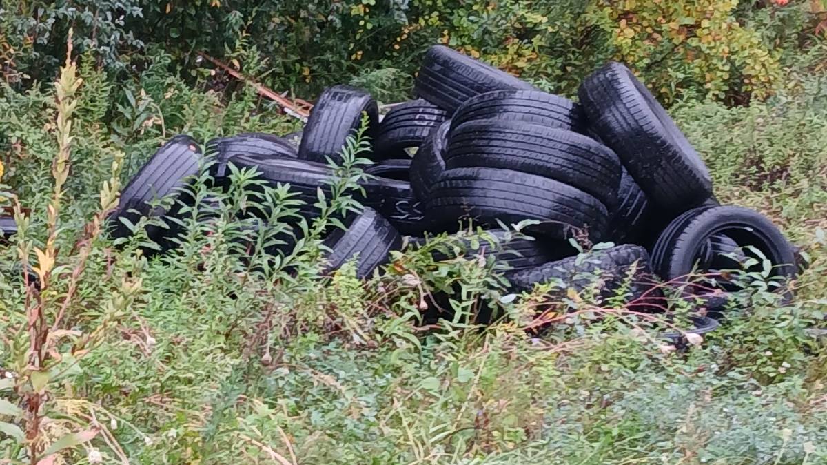 Nearly 50 tires dumped on the property of an Enfield small business