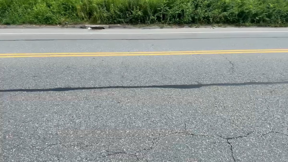 $5,000 reward offered after 3 kittens thrown from moving car in North Stonington